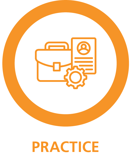 Dietetic-Career-Framework-Capabilities-Practice.png