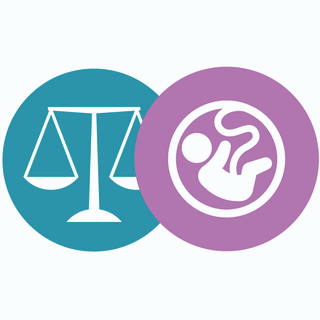Obesity women's health webinar Recordings (3).png