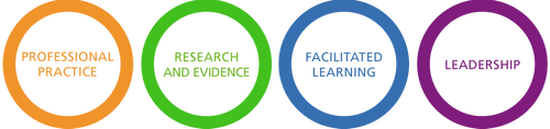 Pillars of practice image.png